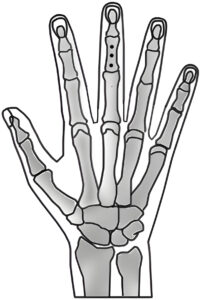 11.11 Fei Xin 11.11 Fei Xin