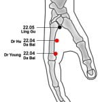 22.04 לבן גדול Dà Bái 大白