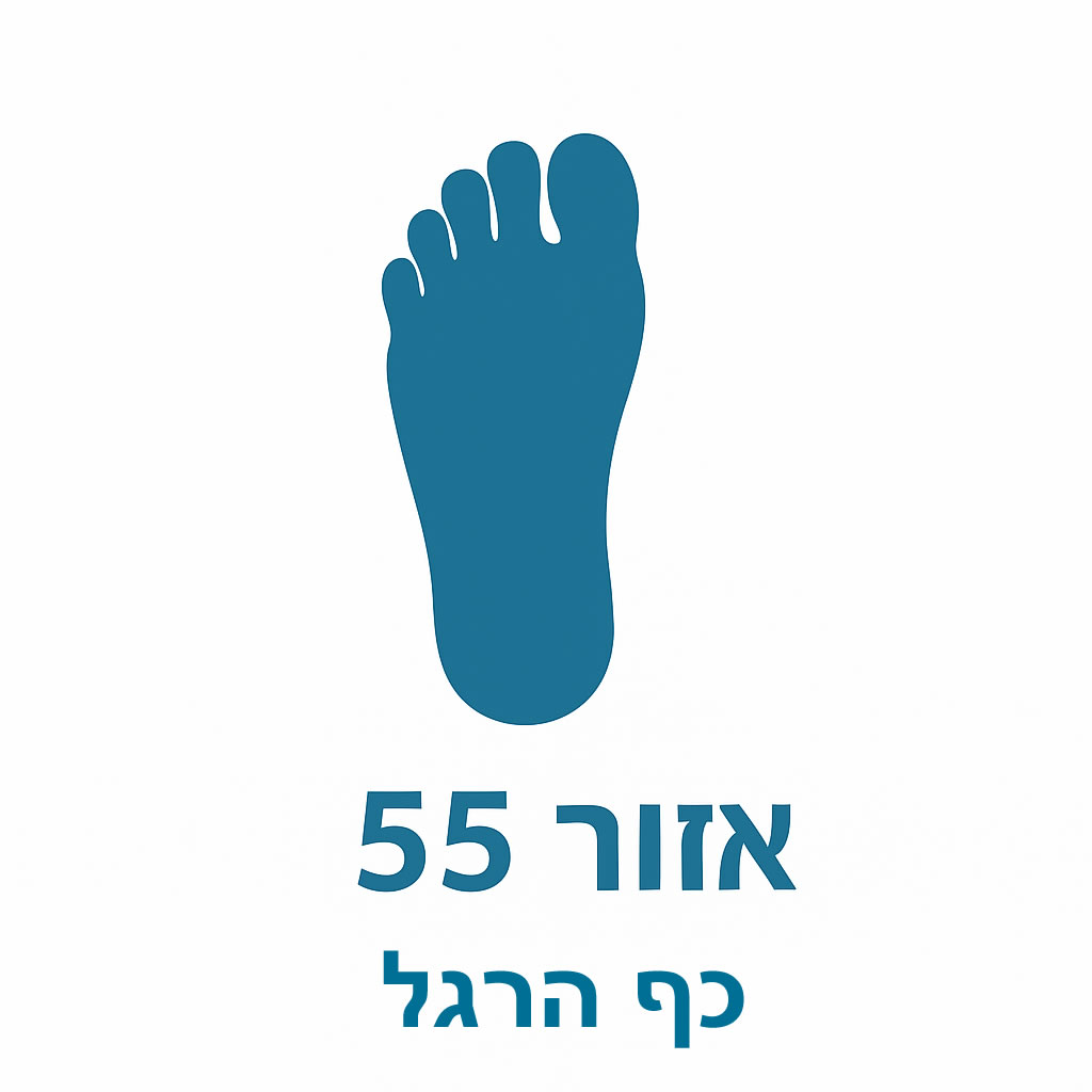 אזור 55 האקופונקטורה של מאסטר דונג