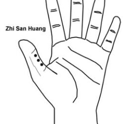 Zhi San Huang