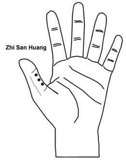 Zhi San Huang
