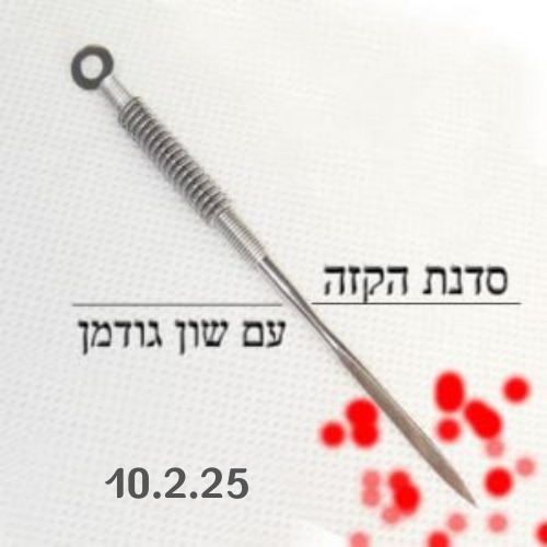 סדנת הקזה עם שון גודמן