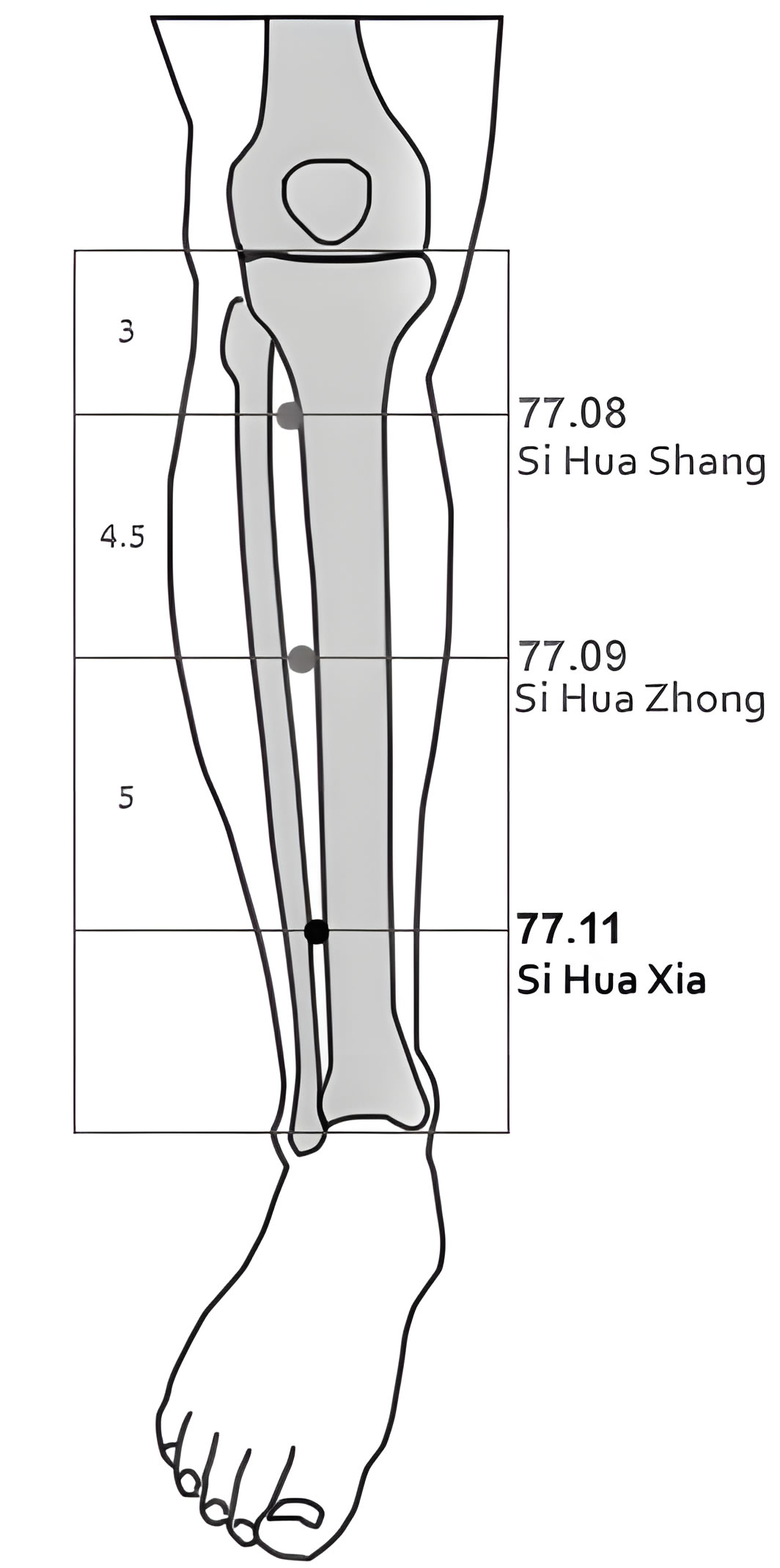 77.11 Si Hua Xia