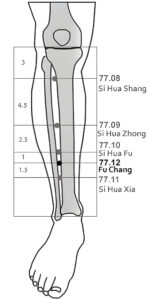77.11 Si Hua Xia